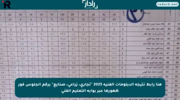 هنا رابط نتيجة الدبلومات الفنية 2025 “تجاري، زراعي، صنايع” برقم الجلوس فور ظهورها عبر بوابة التعليم الفني